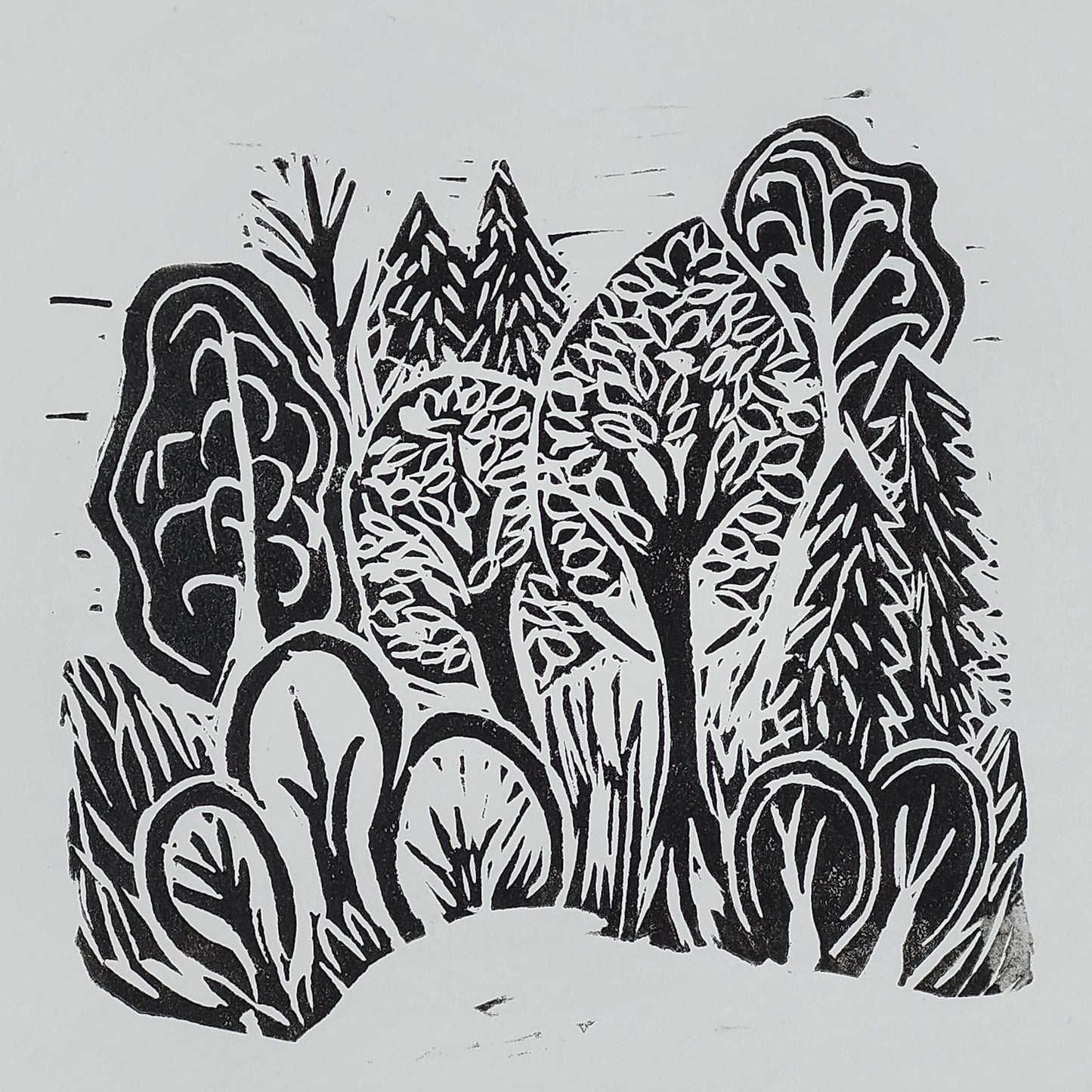 For Rest or Forest
